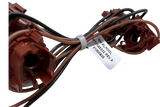 W11595332 Range Oven Wire Harness